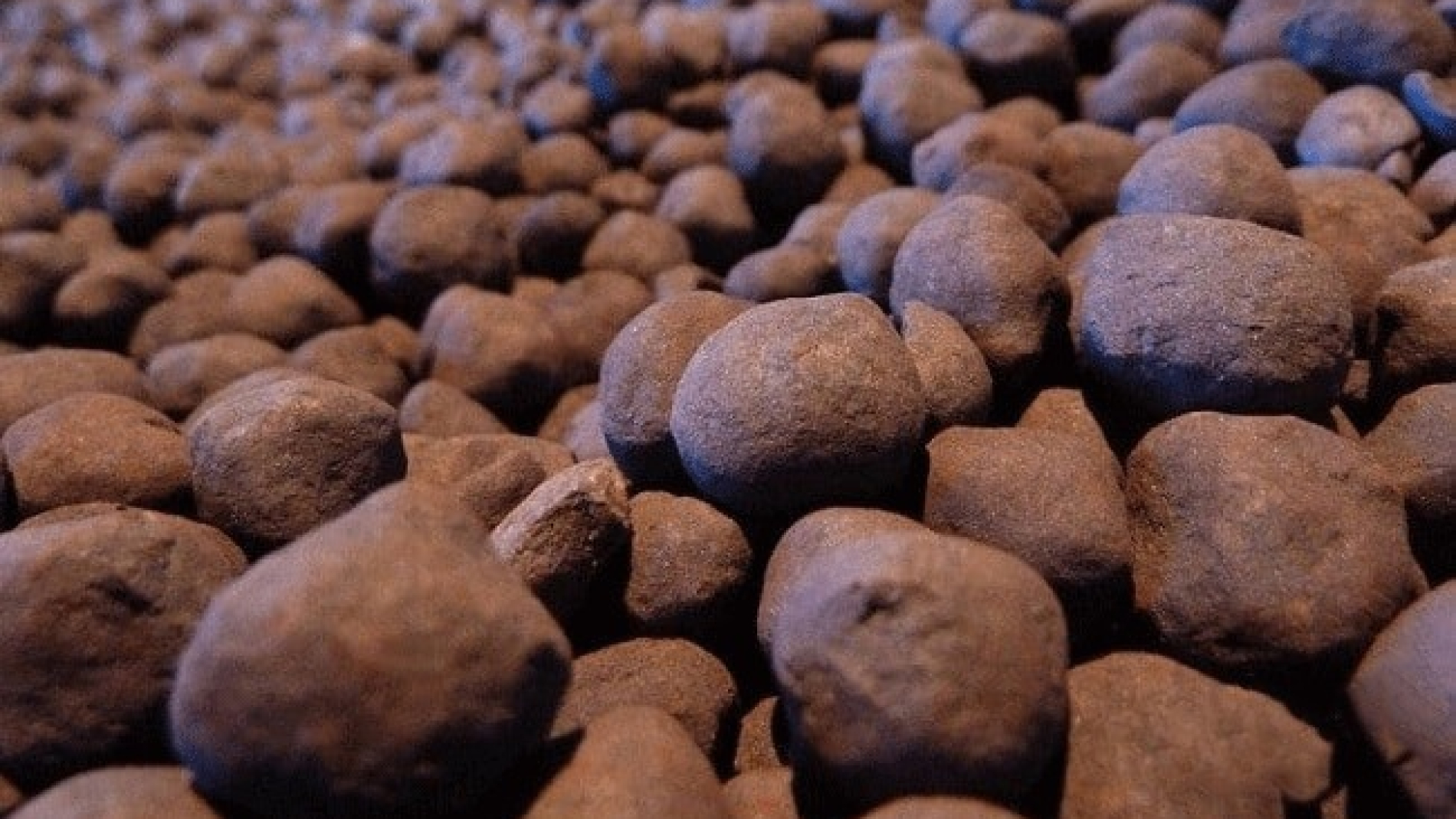 WhatsApp Image 2025-05-10 at 13.08.10_2216627b